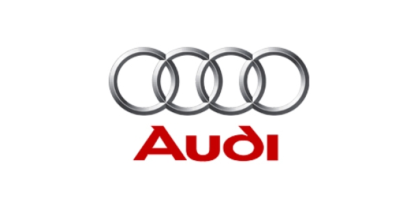 Audi<br><small>299 шт</small> 