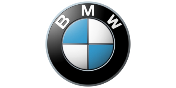 BMW<br><small>307 шт</small> 