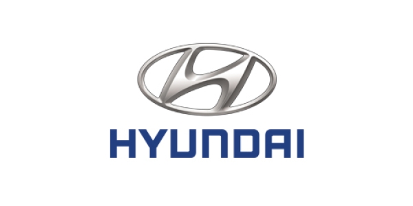 Hyundai<br><small>466 шт</small> 