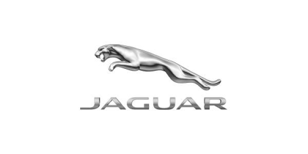 Jaguar<br><small>184 шт</small> 