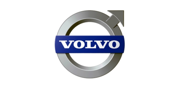 Volvo<br><small>307 шт</small> 