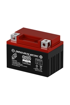 WBR MT 12-4 YT4L-B