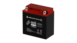 Аккумулятор WBR MT 12-10 YB9A-A