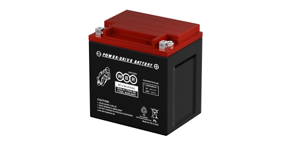 Аккумулятор WBR MT 12-30 YTX30L-BS