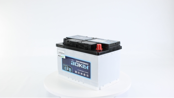 Аккумулятор Aokly EFB L3