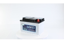 Аккумулятор Aokly EFB L3