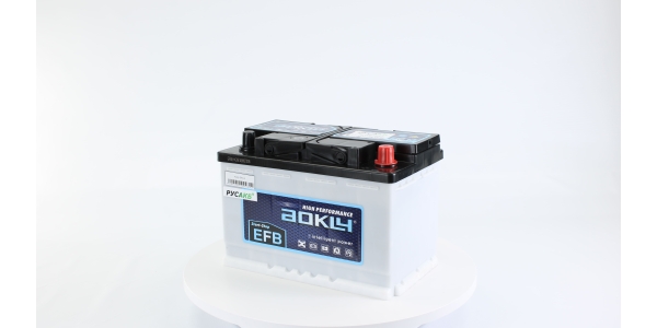 Аккумулятор Aokly EFB L3