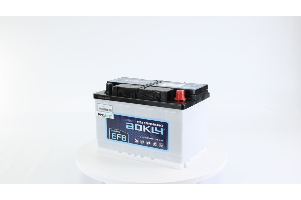 Аккумулятор Aokly EFB L3