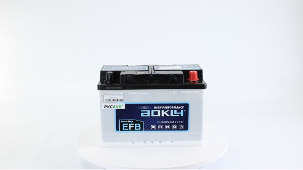 Аккумулятор Aokly EFB L3