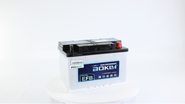 Аккумулятор Aokly EFB L3