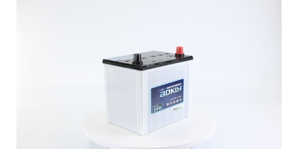 Аккумулятор Aokly EFB Q85