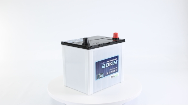Аккумулятор Aokly EFB Q85