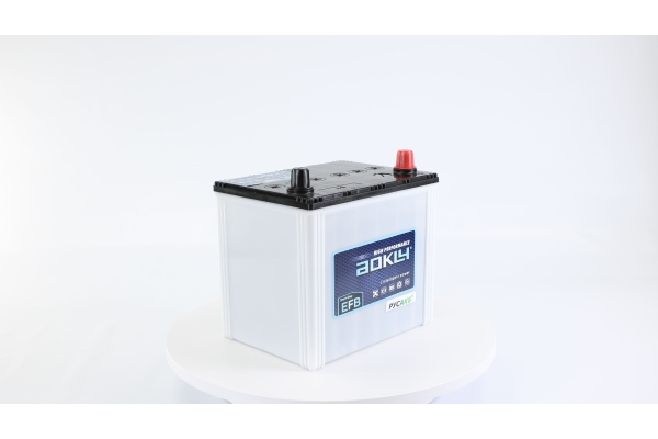Аккумулятор Aokly EFB Q85