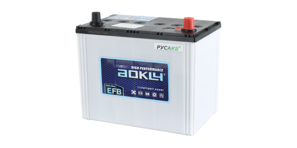 Аккумулятор Aokly EFB S95