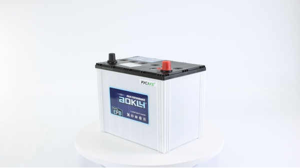 Аккумулятор Aokly EFB S95