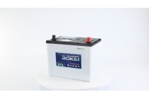 Аккумулятор Aokly EFB S95