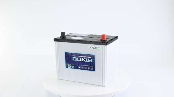 Аккумулятор Aokly EFB S95