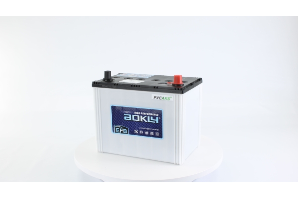 Аккумулятор Aokly EFB S95