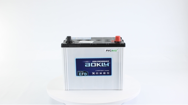 Аккумулятор Aokly EFB S95