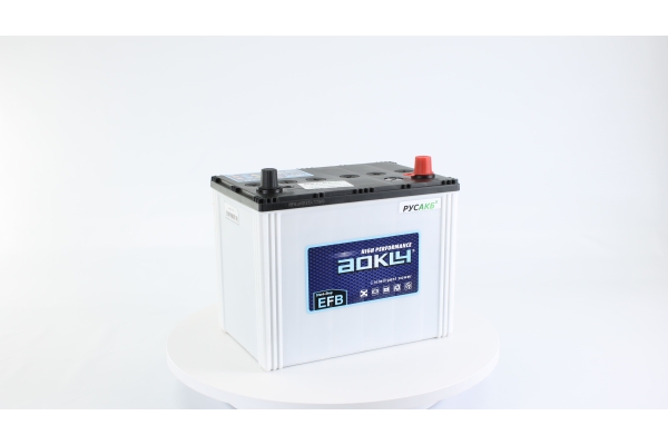 Аккумулятор Aokly EFB S95