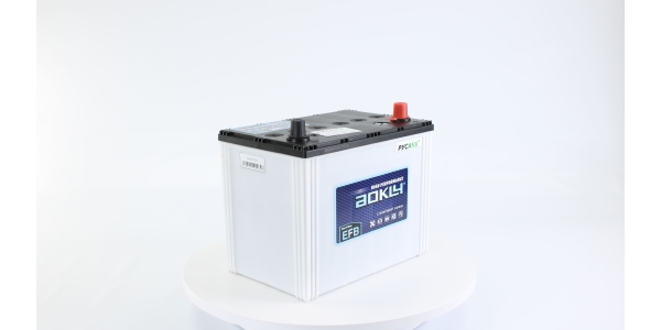 Аккумулятор Aokly EFB S95