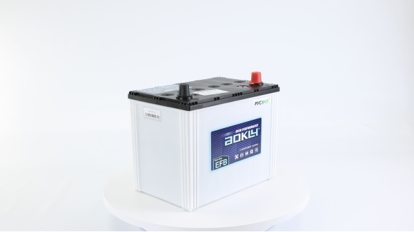 Аккумулятор Aokly EFB S95