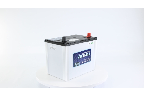 Аккумулятор Aokly EFB S95