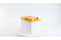 Аккумулятор ПАЗ 55Ач L - евро пол