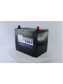 Аккумулятор TAB Polar Азия 70 Ач обр пол 57029 в Спб
