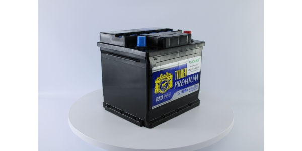 Аккумулятор Тюмень Премиум 50 ач обр. пол.