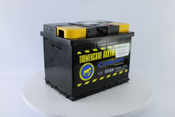 Аккумулятор Тюмень Стандарт 55 ач обр. пол.