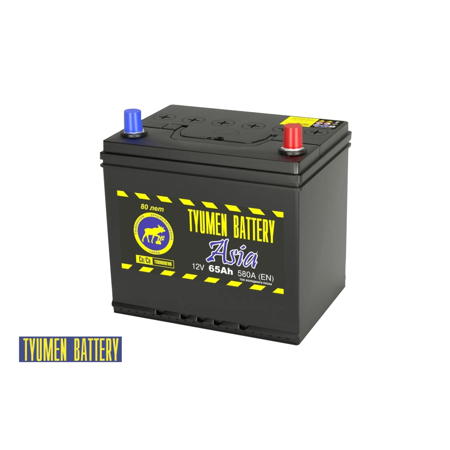 Тюмень Азия 65 обр. пол., 65 Ач, обратная полярность, 230x173x220 мм, 580 Ампер — купить в Санкт-Петербурге