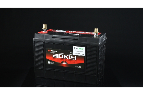 Аккумулятор Aokly 31S-1000