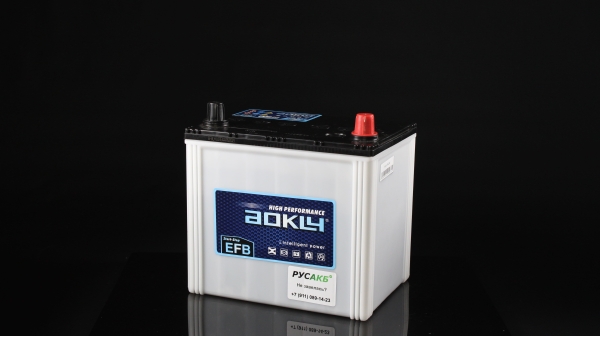 Аккумулятор Aokly EFB S95