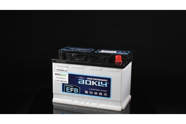 Аккумулятор Aokly EFB L3