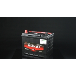 Аккумулятор Aokly 95D26R B/H