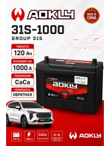Аккумулятор Aokly 120 Ач 31S-1000 в Спб