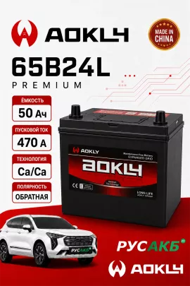 Аккумулятор Aokly 50 Ач 65B24L