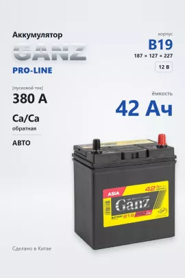 Аккумулятор Ganz PRO-Line Asia 42 Ач обр пол