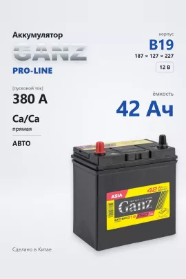 Аккумулятор Ganz PRO-Line Asia 42 Ач прям пол