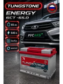 Аккумулятор TUNGSTONE Energy 65 Ач обр пол в Спб