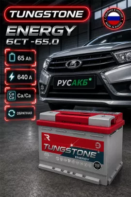 Аккумулятор TUNGSTONE Energy 65 Ач обр пол