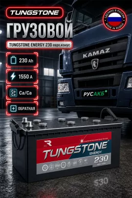Аккумулятор TUNGSTONE Energy 230 Ач обр пол