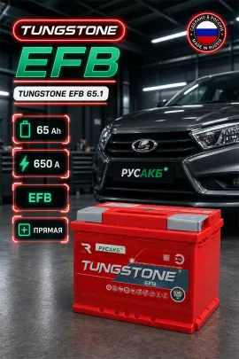 Аккумулятор TUNGSTONE EFB 65 Ач прям пол