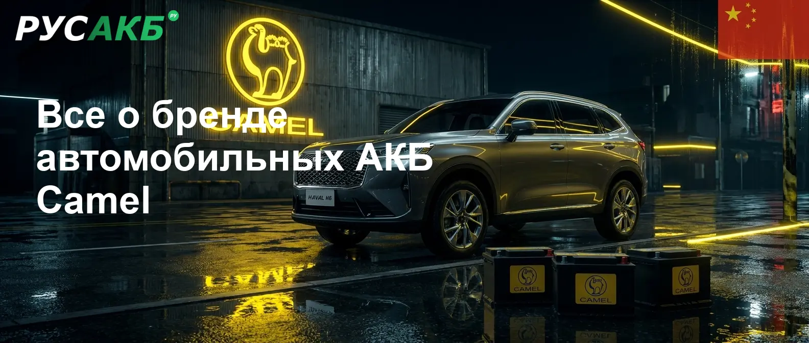 Аккумуляторы Camel на рынке автомобильных АКБ в Санкт-Петербурге