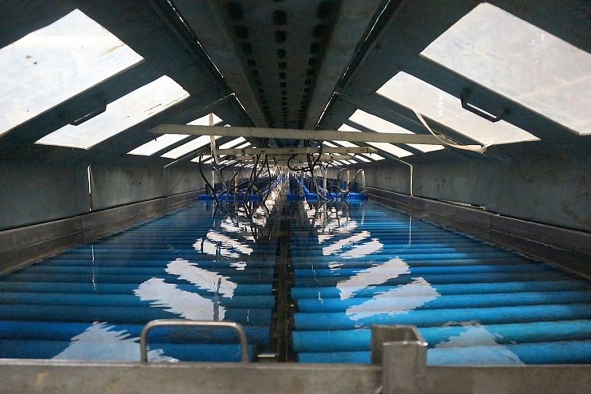 технологии sf sonic