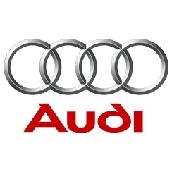 Аккумуляторы для Audi